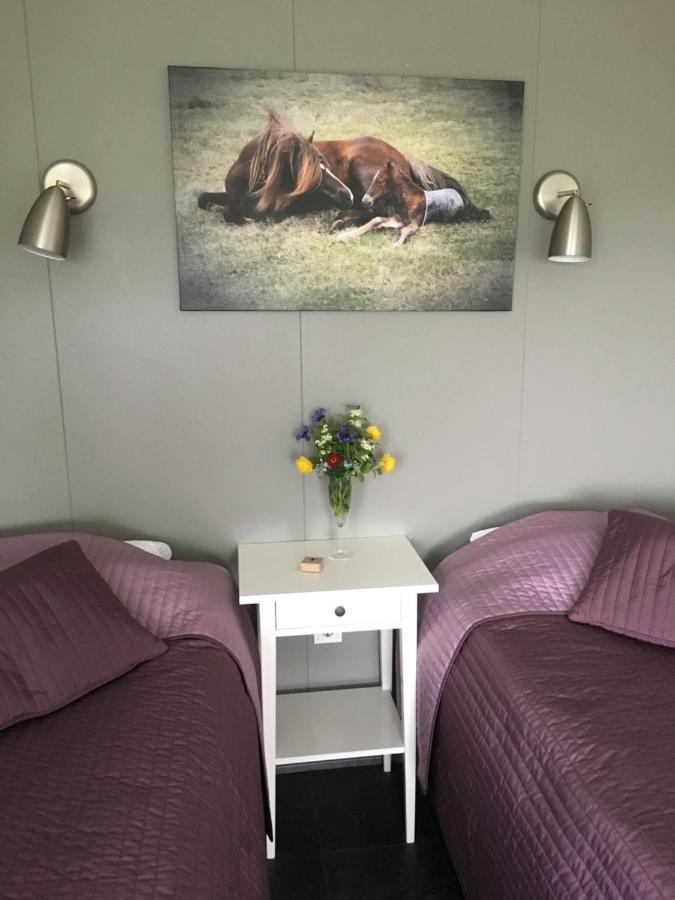 Stryta Apartment 2 Olfus Экстерьер фото